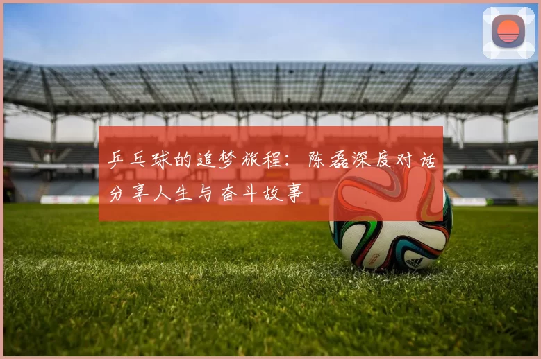 乒乓球的追梦旅程：陈磊深度对话分享人生与奋斗故事