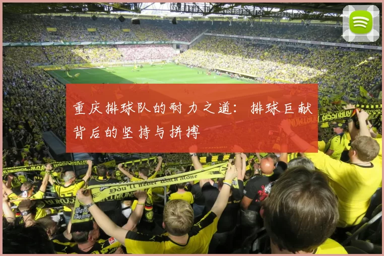 重庆排球队的耐力之道：排球巨献背后的坚持与拼搏