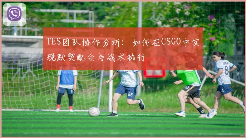 TES团队协作分析：如何在CSGO中实现默契配合与战术执行