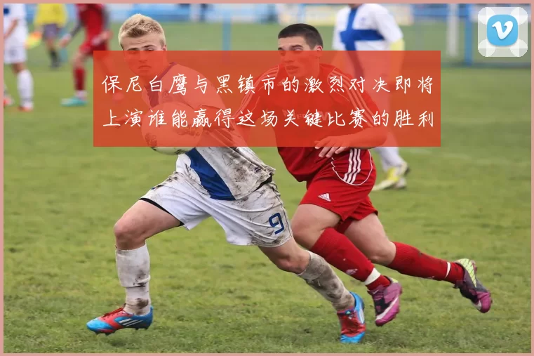 保尼白鹰与黑镇市的激烈对决即将上演谁能赢得这场关键比赛的胜利