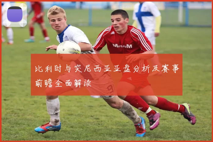 比利时与突尼西亚亚盘分析及赛事前瞻全面解读