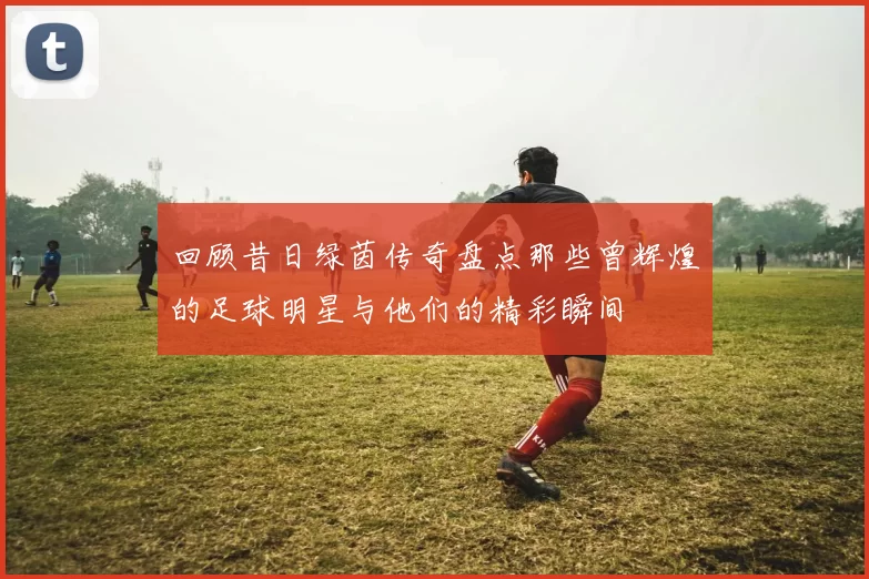 回顾昔日绿茵传奇盘点那些曾辉煌的足球明星与他们的精彩瞬间