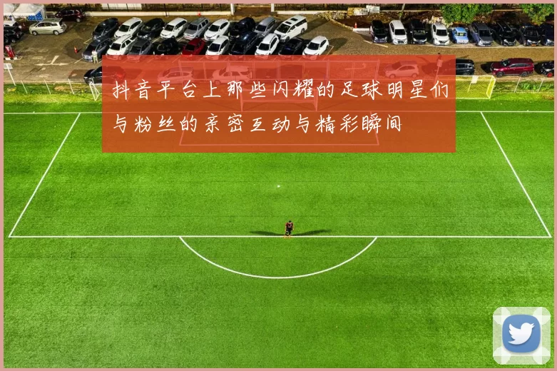 抖音平台上那些闪耀的足球明星们与粉丝的亲密互动与精彩瞬间