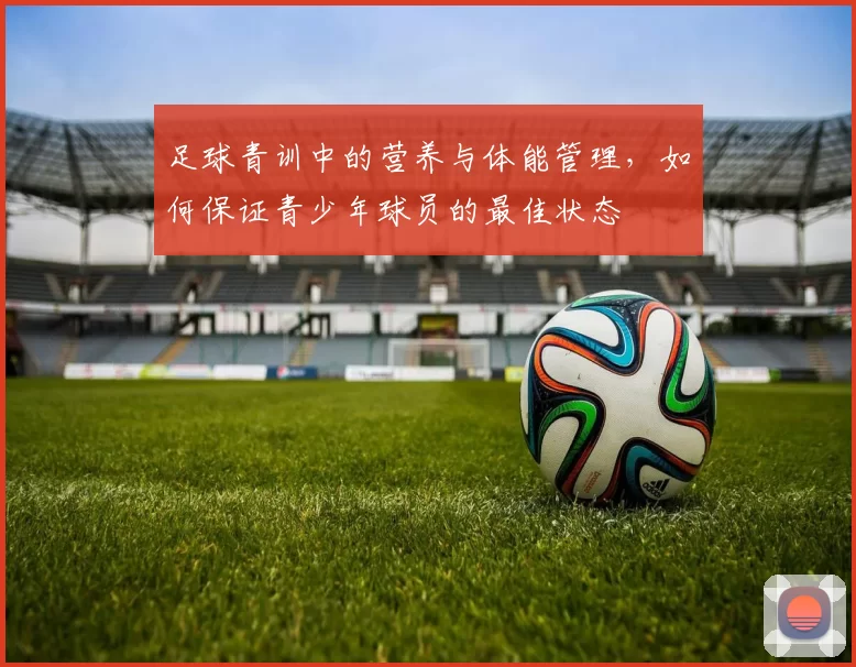 足球青训中的营养与体能管理，如何保证青少年球员的最佳状态