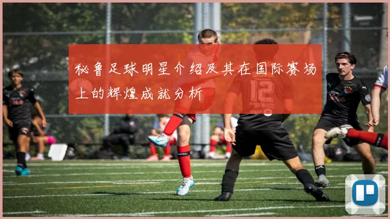 秘鲁足球明星介绍及其在国际赛场上的辉煌成就分析