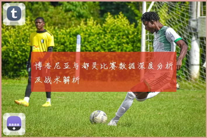 博洛尼亚与都灵比赛数据深度分析及战术解析