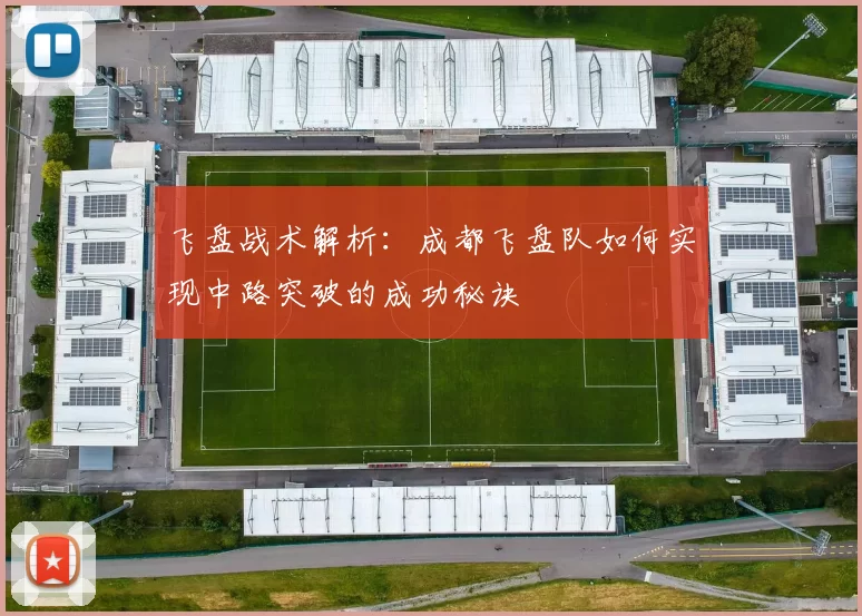 飞盘战术解析：成都飞盘队如何实现中路突破的成功秘诀