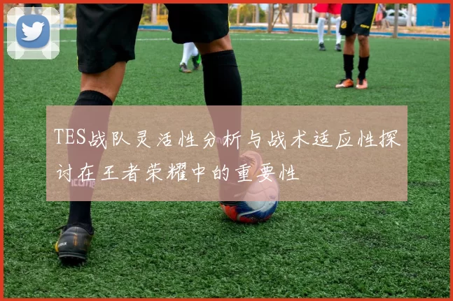 TES战队灵活性分析与战术适应性探讨在王者荣耀中的重要性