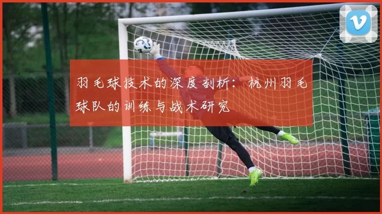 羽毛球技术的深度剖析：杭州羽毛球队的训练与战术研究