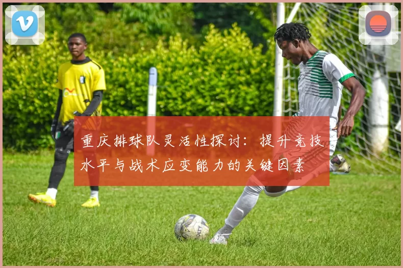重庆排球队灵活性探讨：提升竞技水平与战术应变能力的关键因素