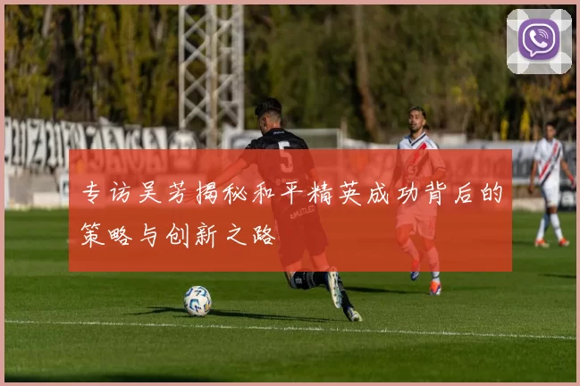 专访吴芳揭秘和平精英成功背后的策略与创新之路