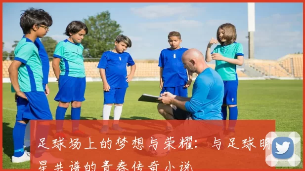 足球场上的梦想与荣耀：与足球明星共谱的青春传奇小说