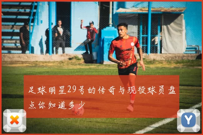 足球明星29号的传奇与现役球员盘点你知道多少
