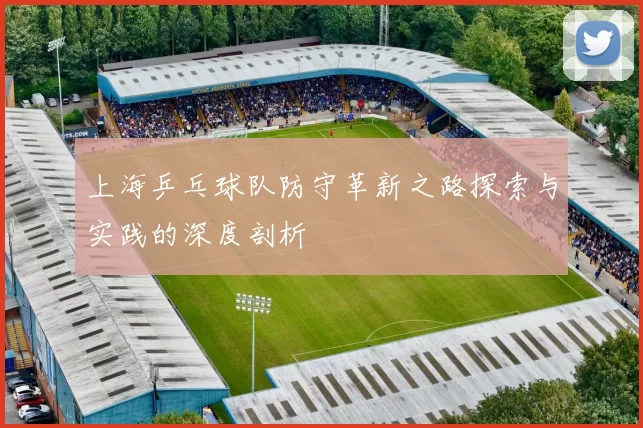 上海乒乓球队防守革新之路探索与实践的深度剖析