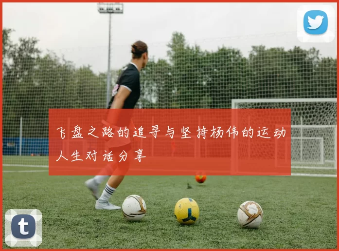 飞盘之路的追寻与坚持杨伟的运动人生对话分享