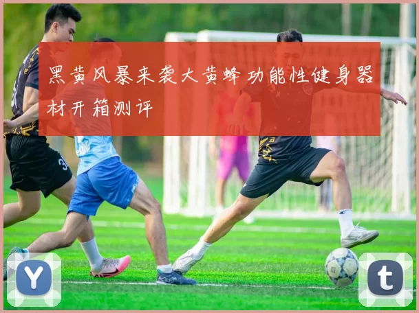 黑黄风暴来袭大黄蜂功能性健身器材开箱测评