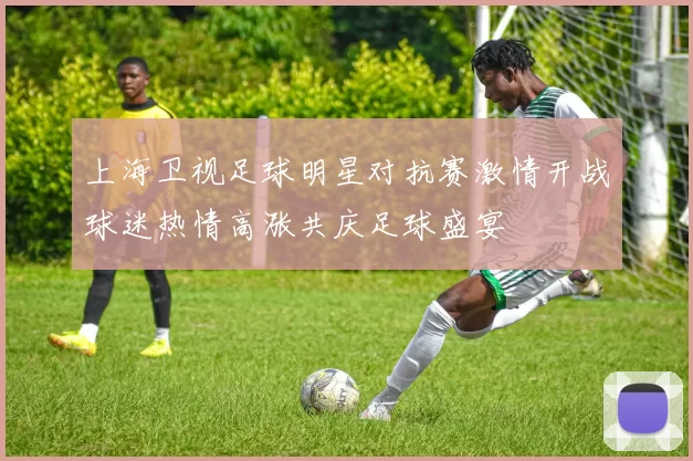 上海卫视足球明星对抗赛激情开战球迷热情高涨共庆足球盛宴