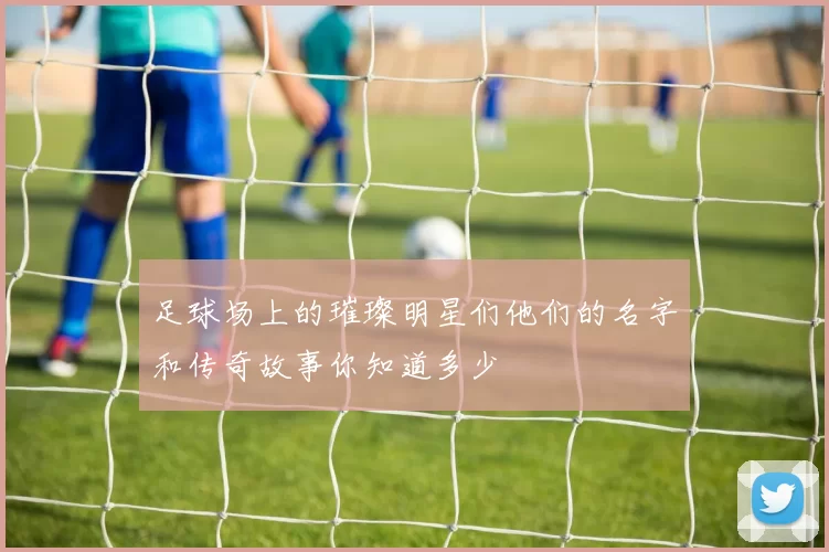 足球场上的璀璨明星们他们的名字和传奇故事你知道多少