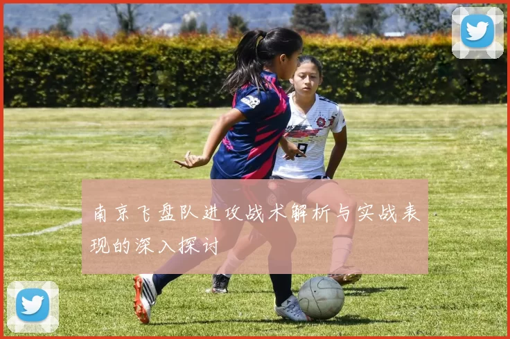 南京飞盘队进攻战术解析与实战表现的深入探讨
