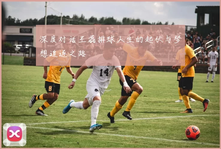 深度对话王磊排球人生的起伏与梦想追逐之路